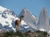 Torres del Paine w circuit